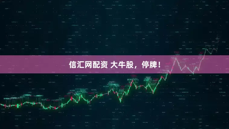 信汇网配资 大牛股，停牌！