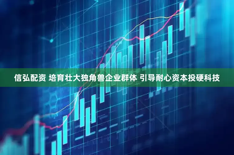 信弘配资 培育壮大独角兽企业群体 引导耐心资本投硬科技